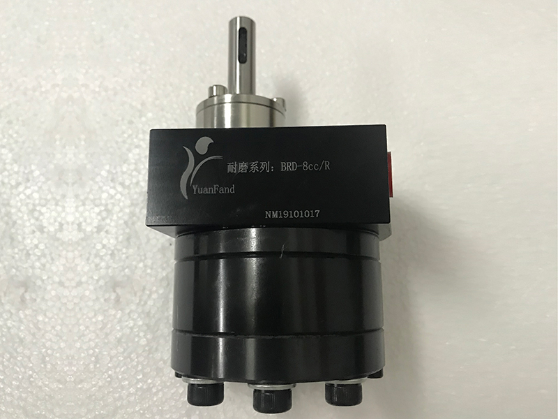 大流量供漆精密齒輪泵